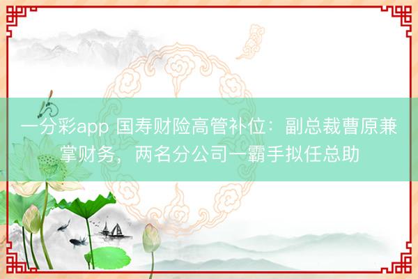 一分彩app 国寿财险高管补位:副总裁曹原兼掌财务,两名分公司一霸手拟任总助