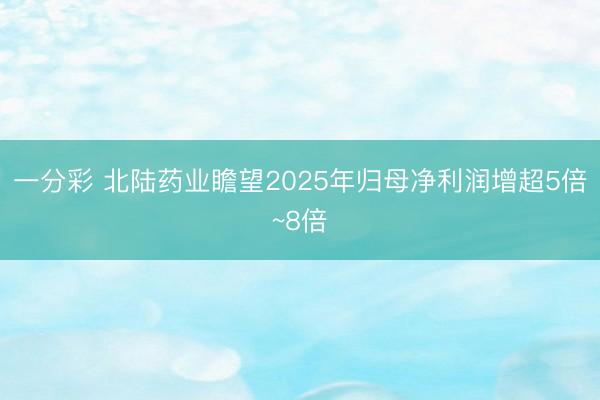一分彩 北陆药业瞻望2025年归母净利润增超5倍~8倍