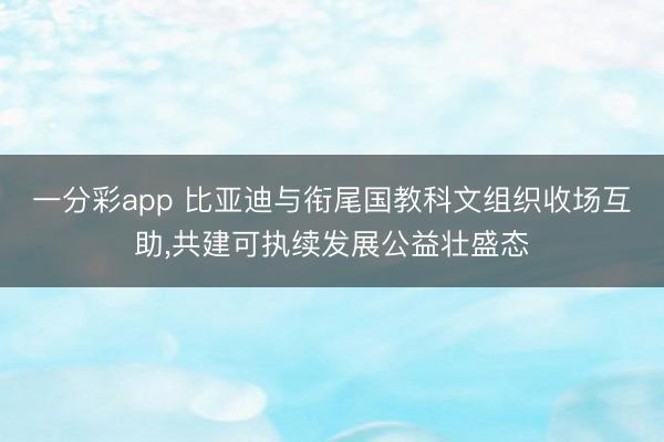 一分彩app 比亚迪与衔尾国教科文组织收场互助,共建可执续发展公益壮盛态