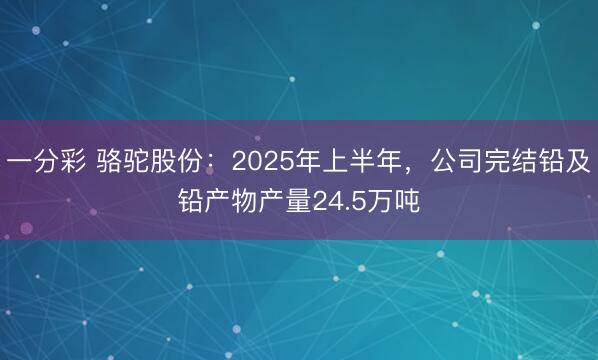 一分彩 骆驼股份：2025年上半年，公司完结铅及铅产物产量24.5万吨