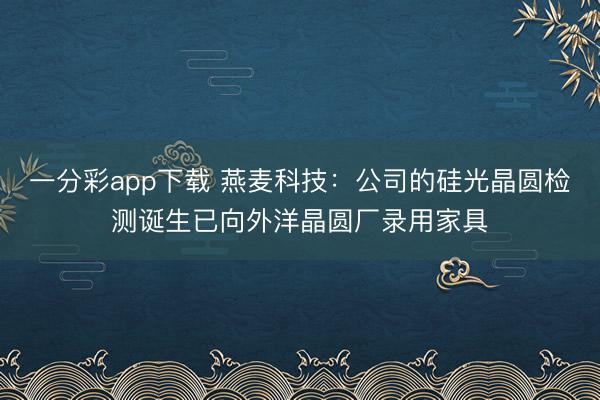 一分彩app下载 燕麦科技：公司的硅光晶圆检测诞生已向外洋晶圆厂录用家具