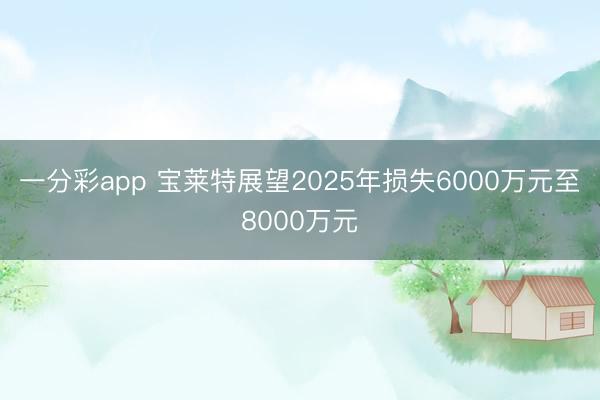 一分彩app 宝莱特展望2025年损失6000万元至8000万元