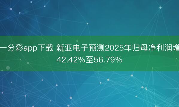 一分彩app下载 新亚电子预测2025年归母净利润增42.42%至56.79%