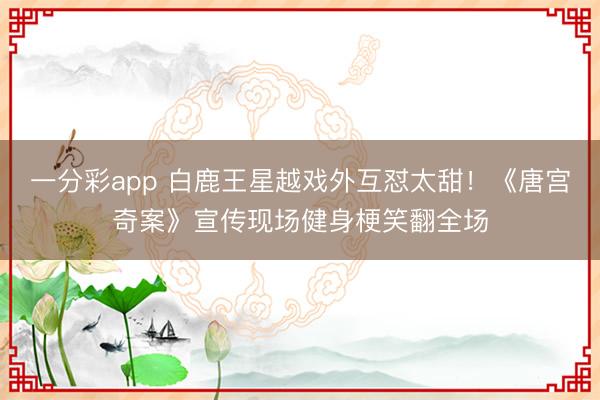一分彩app 白鹿王星越戏外互怼太甜！《唐宫奇案》宣传现场健身梗笑翻全场
