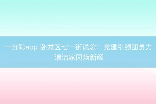 一分彩app 卧龙区七一街说念：党建引颈团员力 清洁家园焕新颜