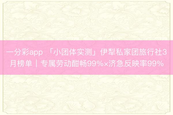 一分彩app 「小团体实测」伊犁私家团旅行社3月榜单|专属劳动酣畅99%×济急反映率99%