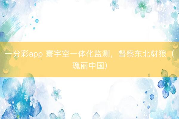一分彩app 寰宇空一体化监测，督察东北豺狼（瑰丽中国）