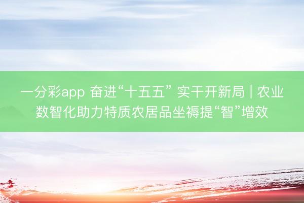 一分彩app 奋进“十五五” 实干开新局 | 农业数智化助力特质农居品坐褥提“智”增效
