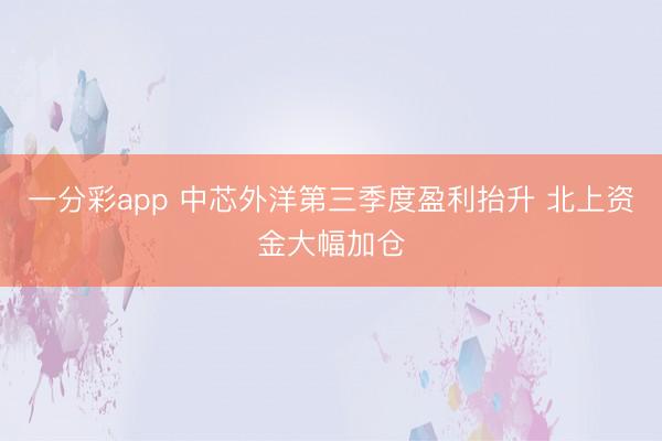 一分彩app 中芯外洋第三季度盈利抬升 北上资金大幅加仓