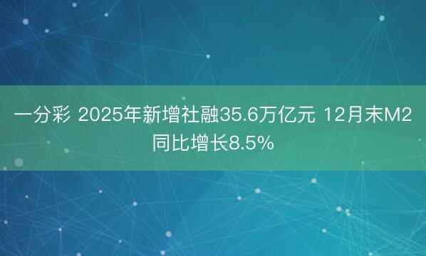 一分彩 2025年新增社融35.6万亿元 12月末M2同比增长8.5%