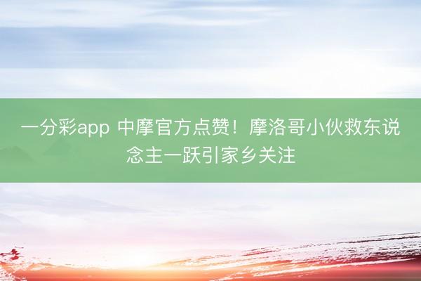 一分彩app 中摩官方点赞!摩洛哥小伙救东说念主一跃引家乡关注