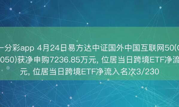 一分彩app 4月24日易方达中证国外中国互联网50(QDII-ETF)(513050)获净申购7236.85万元， 位居当日跨境ETF净流入名次3/230