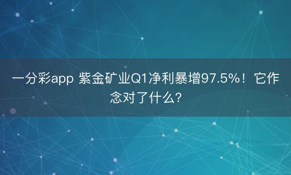 一分彩app 紫金矿业Q1净利暴增97.5%！它作念对了什么？
