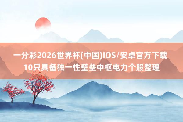 一分彩2026世界杯(中国)IOS/安卓官方下载 10只具备独一性壁垒中枢电力个股整理