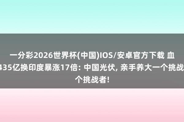 一分彩2026世界杯(中国)IOS/安卓官方下载 血亏435亿换印度暴涨17倍: 中国光伏, 亲手养大一个挑战者!