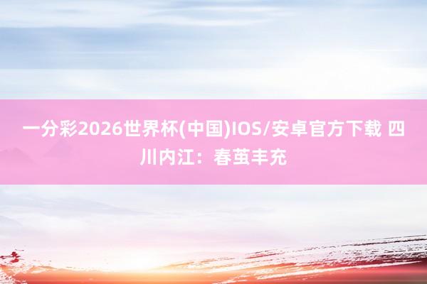 一分彩2026世界杯(中国)IOS/安卓官方下载 四川内江：春茧丰充