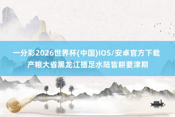 一分彩2026世界杯(中国)IOS/安卓官方下载 产粮大省黑龙江插足水陆皆耕要津期