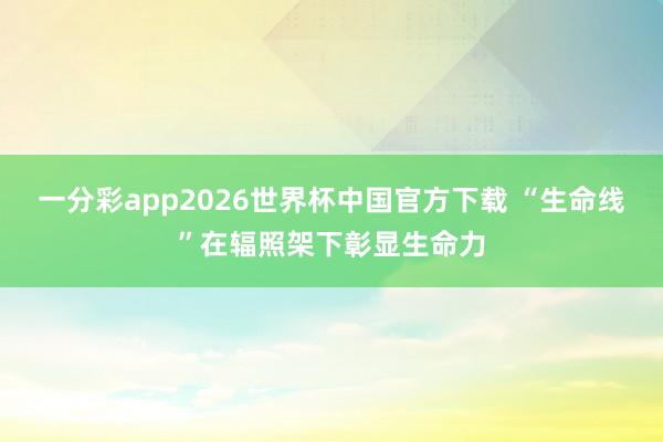 一分彩app2026世界杯中国官方下载 “生命线”在辐照架下彰显生命力