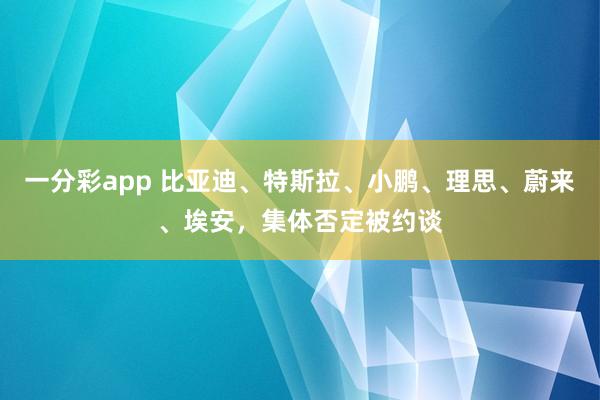 一分彩app 比亚迪、特斯拉、小鹏、理思、蔚来、埃安，集体否定被约谈