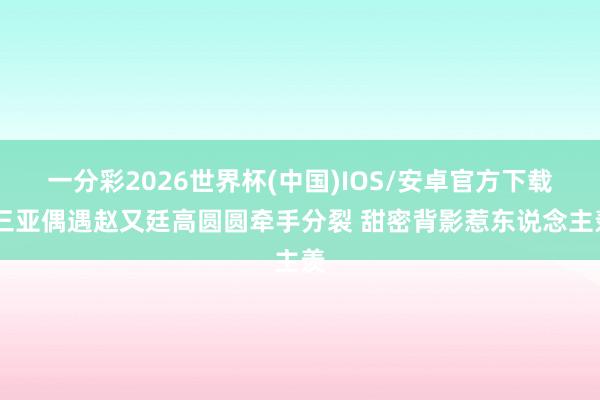 一分彩2026世界杯(中国)IOS/安卓官方下载 三亚偶遇赵又廷高圆圆牵手分裂 甜密背影惹东说念主羡
