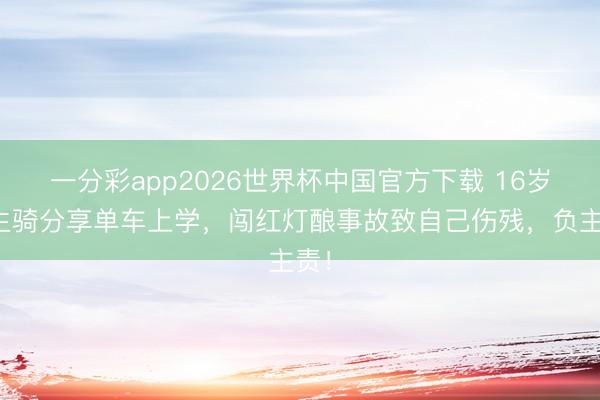 一分彩app2026世界杯中国官方下载 16岁学生骑分享单车上学，闯红灯酿事故致自己伤残，负主责！