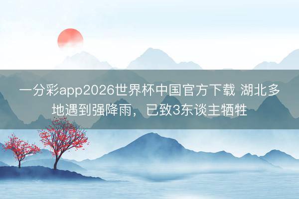 一分彩app2026世界杯中国官方下载 湖北多地遇到强降雨，已致3东谈主牺牲