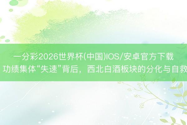一分彩2026世界杯(中国)IOS/安卓官方下载 功绩集体“失速”背后，西北白酒板块的分化与自救