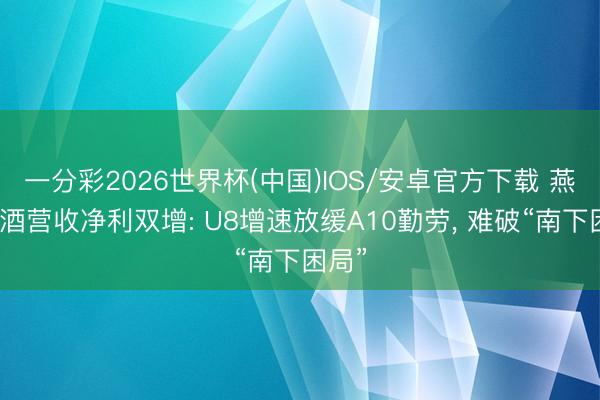 一分彩2026世界杯(中国)IOS/安卓官方下载 燕京啤酒营收净利双增: U8增速放缓A10勤劳, 难破“南下困局”
