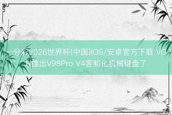 一分彩2026世界杯(中国)IOS/安卓官方下载 VGN推出V98Pro V4客制化机械键盘了