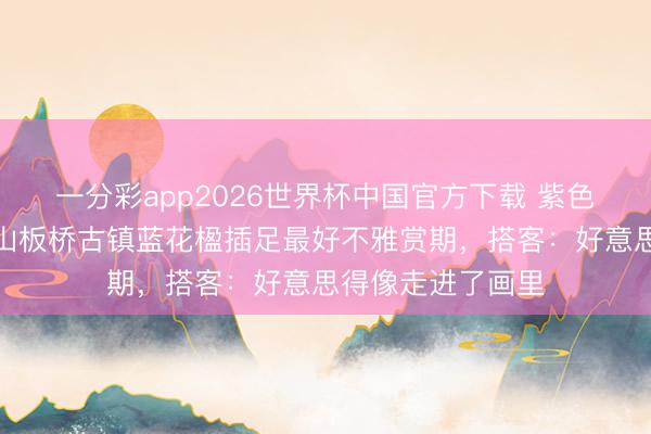 一分彩app2026世界杯中国官方下载 紫色花雨漫古巷！保山板桥古镇蓝花楹插足最好不雅赏期，搭客：好意思得像走进了画里