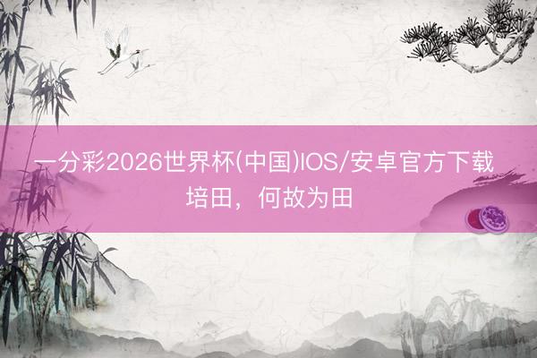 一分彩2026世界杯(中国)IOS/安卓官方下载 培田，何故为田