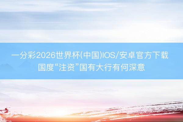 一分彩2026世界杯(中国)IOS/安卓官方下载 国度“注资”国有大行有何深意