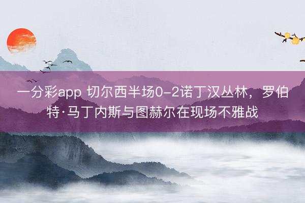 一分彩app 切尔西半场0-2诺丁汉丛林，罗伯特·马丁内斯与图赫尔在现场不雅战