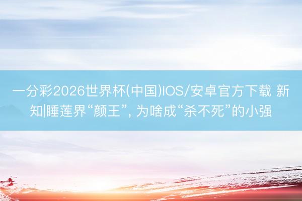 一分彩2026世界杯(中国)IOS/安卓官方下载 新知|睡莲界“颜王”, 为啥成“杀不死”的小强