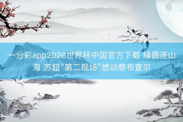 一分彩app2026世界杯中国官方下载 绿茵连山海 苏超“第二现场”燃动察布查尔