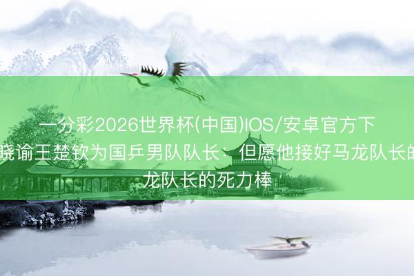 一分彩2026世界杯(中国)IOS/安卓官方下载 王皓晓谕王楚钦为国乒男队队长：但愿他接好马龙队长的死力棒