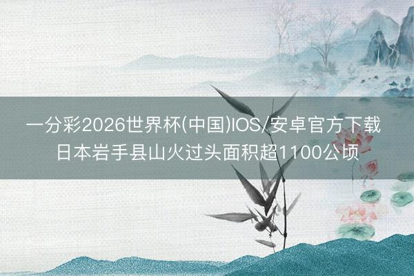 一分彩2026世界杯(中国)IOS/安卓官方下载 日本岩手县山火过头面积超1100公顷