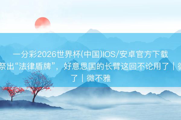 一分彩2026世界杯(中国)IOS/安卓官方下载 中国祭出“法律盾牌”，好意思国的长臂这回不论用了｜微不雅