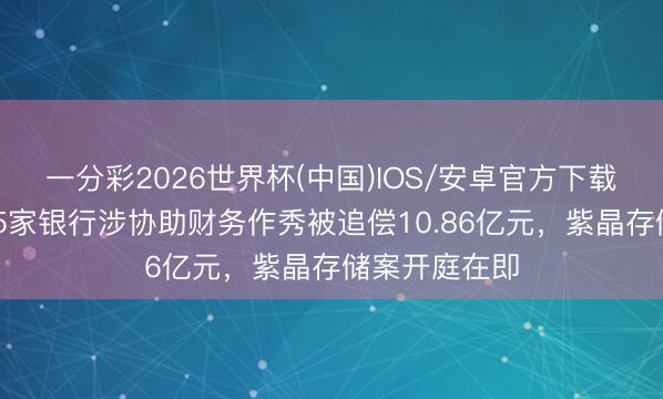 一分彩2026世界杯(中国)IOS/安卓官方下载 行业首例！5家银行涉协助财务作秀被追偿10.86亿元，紫晶存储案开庭在即
